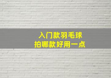 入门款羽毛球拍哪款好用一点