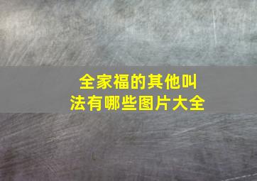 全家福的其他叫法有哪些图片大全