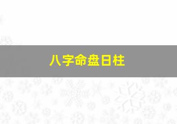 八字命盘日柱