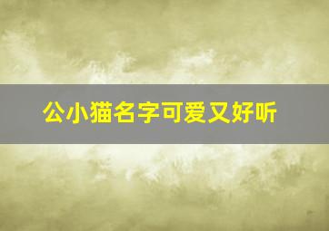 公小猫名字可爱又好听