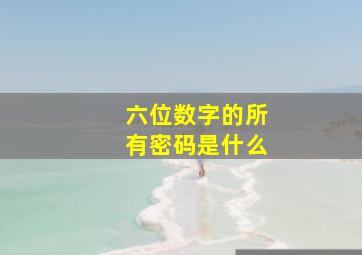 六位数字的所有密码是什么