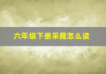 六年级下册采薇怎么读