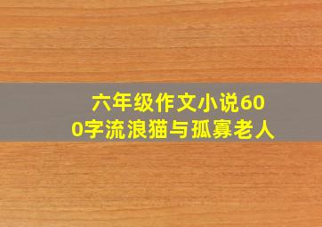 六年级作文小说600字流浪猫与孤寡老人