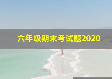 六年级期末考试题2020