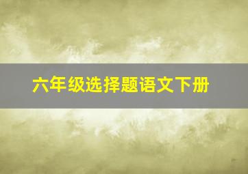 六年级选择题语文下册