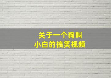 关于一个狗叫小白的搞笑视频