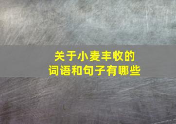 关于小麦丰收的词语和句子有哪些