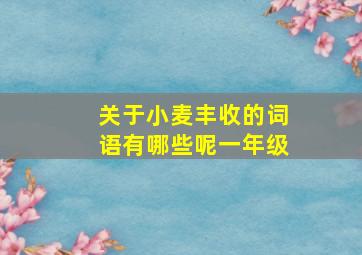 关于小麦丰收的词语有哪些呢一年级