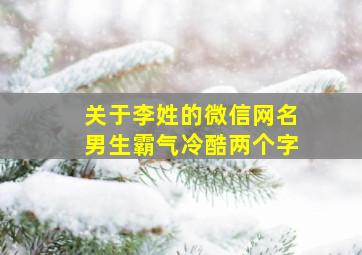 关于李姓的微信网名男生霸气冷酷两个字