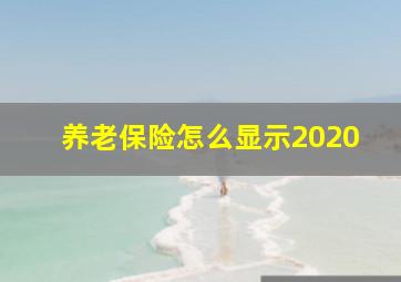 养老保险怎么显示2020