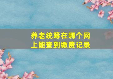 养老统筹在哪个网上能查到缴费记录