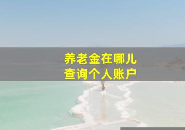 养老金在哪儿查询个人账户