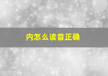 内怎么读音正确