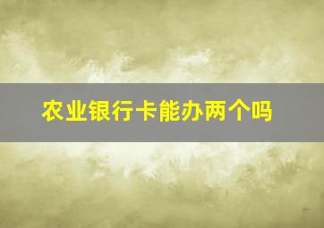 农业银行卡能办两个吗