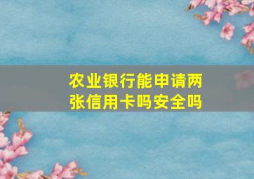 农业银行能申请两张信用卡吗安全吗