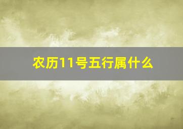 农历11号五行属什么