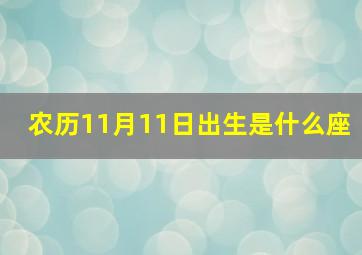 农历11月11日出生是什么座