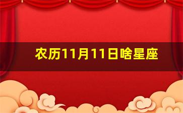 农历11月11日啥星座