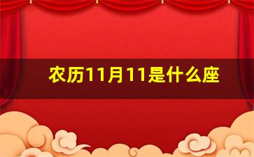 农历11月11是什么座