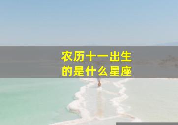 农历十一出生的是什么星座