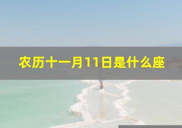 农历十一月11日是什么座