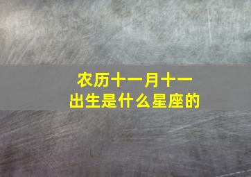 农历十一月十一出生是什么星座的