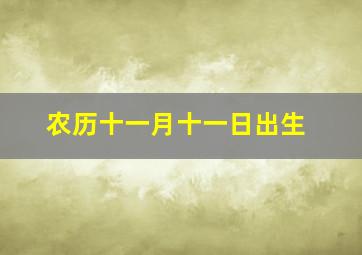 农历十一月十一日出生