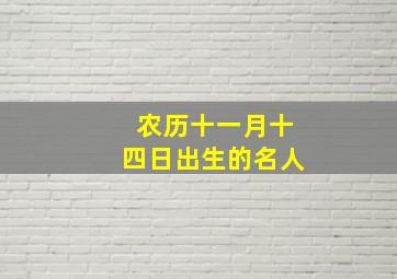 农历十一月十四日出生的名人