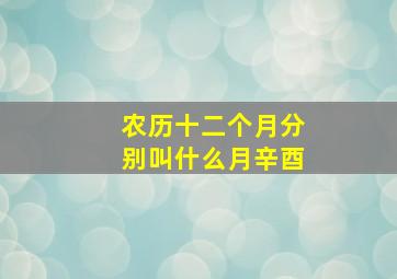 农历十二个月分别叫什么月辛酉