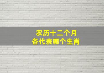 农历十二个月各代表哪个生肖