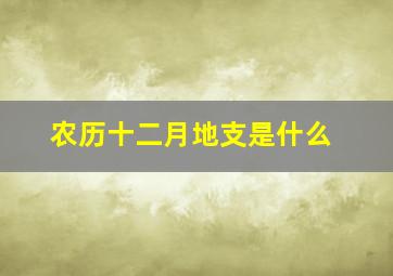 农历十二月地支是什么