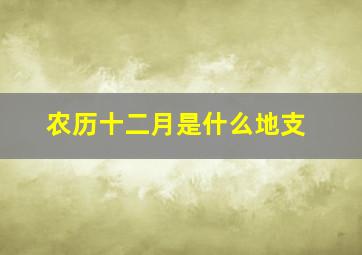 农历十二月是什么地支