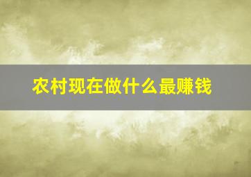 农村现在做什么最赚钱