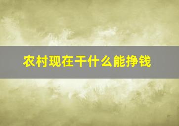 农村现在干什么能挣钱