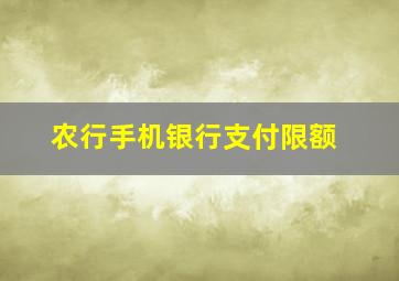 农行手机银行支付限额