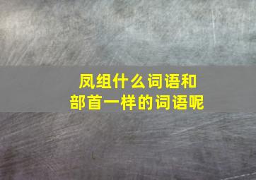 凤组什么词语和部首一样的词语呢