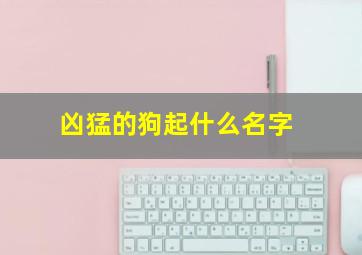 凶猛的狗起什么名字