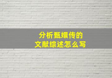 分析甄嬛传的文献综述怎么写