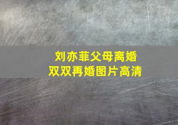 刘亦菲父母离婚双双再婚图片高清