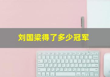 刘国梁得了多少冠军