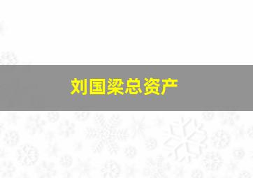 刘国梁总资产