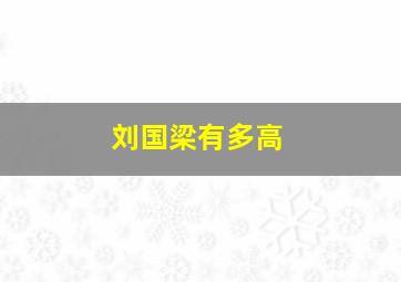 刘国梁有多高