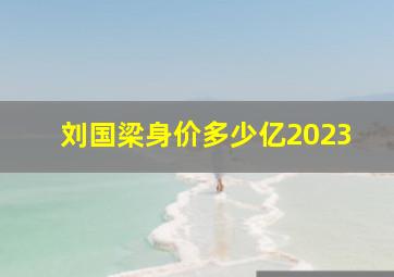 刘国梁身价多少亿2023