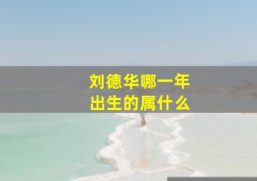 刘德华哪一年出生的属什么