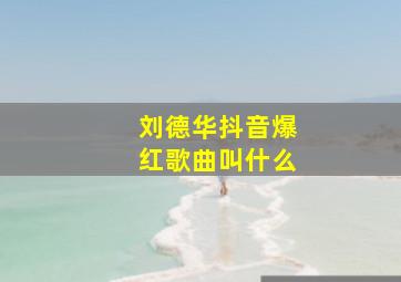 刘德华抖音爆红歌曲叫什么