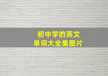 初中学的英文单词大全集图片