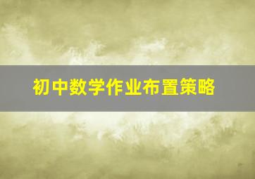 初中数学作业布置策略