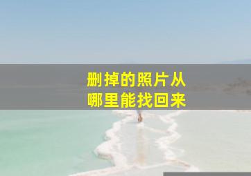 删掉的照片从哪里能找回来