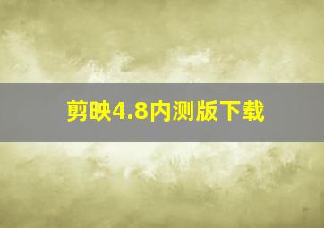 剪映4.8内测版下载