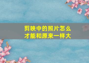 剪映中的照片怎么才能和原来一样大